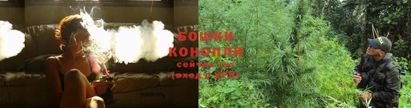 не бодяженный Алзамай