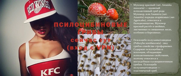 амф Абаза