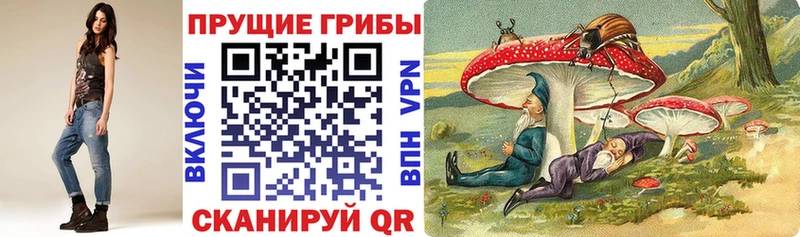 Псилоцибиновые грибы GOLDEN TEACHER  даркнет сайт  Майский 